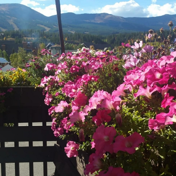 Meet your Posher, Duffy - Picture 1 of 1